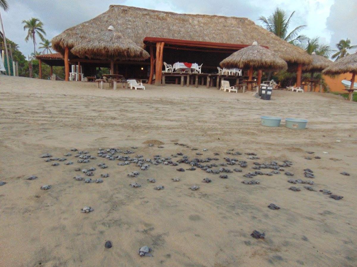 Roberto's Bistro Hotel Troncones Exterior foto